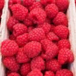 Малина - Rubus idaeus L.