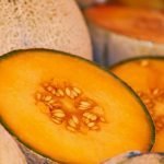 Пъпеш, пипон, каун - Cucumis melo L.